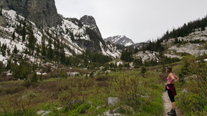 2015-06-05 12.48.29
